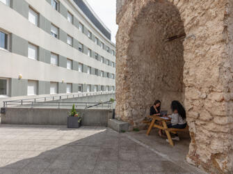 Studélites Le Premium