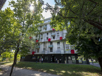 Studélites Flandrin