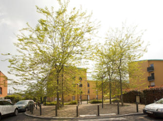 Les Estudines André Desilles