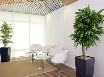 Les Estudines Kléber à Strasbourg - Hall