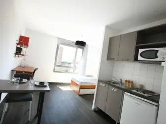 Gestetud Central Park à Lyon 7ème - Studio rénové 1