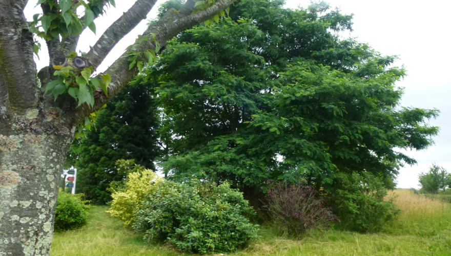 espaces verts - Stud'City Val d'Europe