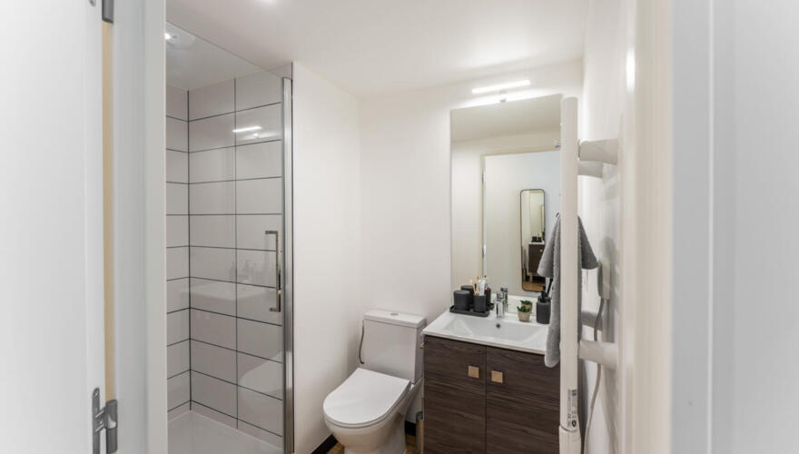 Canvas Bordeaux East in Lormont - Bronze Studio - Salle d'eau moderne avec douche vitrée